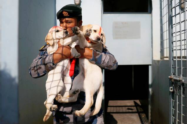 Policial beija filhotes de cães durante o Tihar - festival que homenageia a lealdade dos caninos, em Kathmandu, capital do Nepal. Esta celebração faz parte dos preparativos para o Diwali - festa religiosa hindu, conhecida também como o festival das luzes - 06/11/2018 Policial beija filhotes de cães durante o Tihar - festival que homenageia a lealdade dos caninos, em Kathmandu, capital do Nepal. Esta celebração faz parte dos preparativos para o Diwali - festa religiosa hindu, conhecida também como o festival das luzes - 06/11/2018