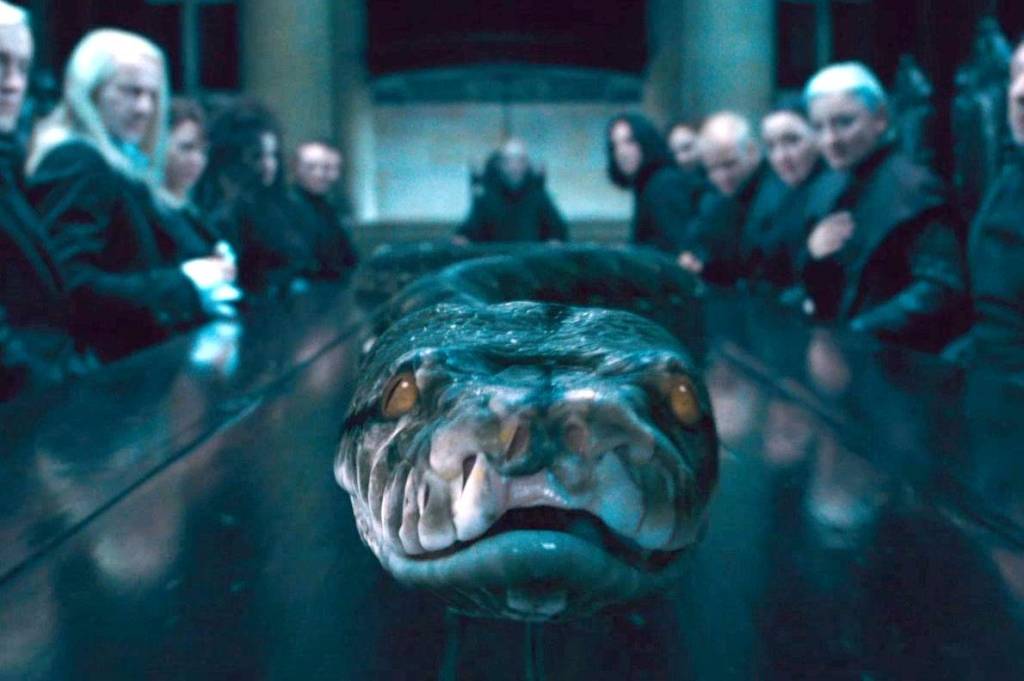 nagini-harry-potter nagini-harry-potter