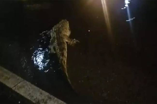 Chuvas no Rio Chuvas no Rio