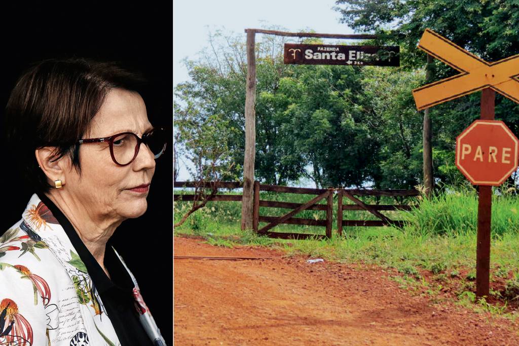 Sem-terra tentam invadir fazenda da ex-ministra Tereza Cristina
