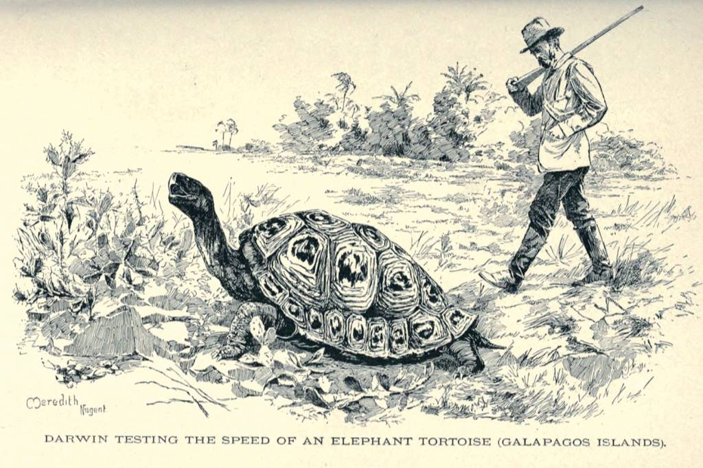 Galápagos Galápagos