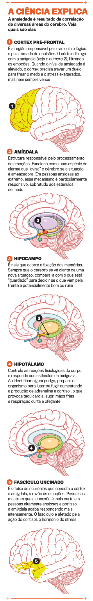 arte-cerebro-a-ciencia-explica arte-cerebro-a-ciencia-explica