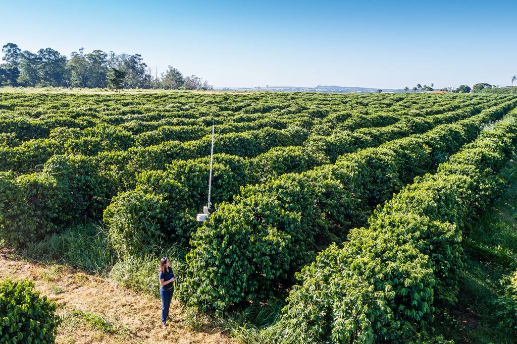 Após caducar no Senado, governo edita nova MP que altera Lei Ambiental