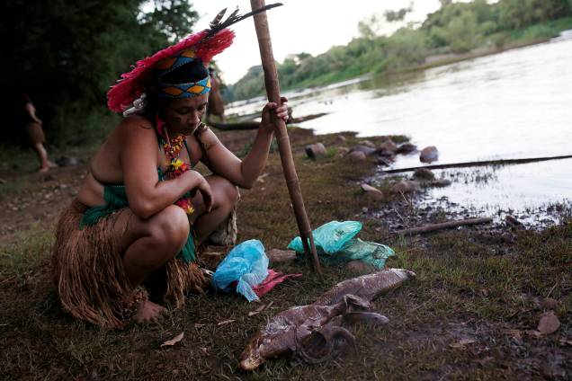 Uma indígena da tribo Pataxo Ha-ha-hae observa peixes mortos perto do rio Paraopeba, depois do rompimento de uma barragem de rejeitos da mineradora brasileira Vale SA, em São Joaquim de Bicas, perto de Brumadinho, Minas Gerais - 28/01/2019 Uma indígena da tribo Pataxo Ha-ha-hae observa peixes mortos perto do rio Paraopeba, depois do rompimento de uma barragem de rejeitos da mineradora brasileira Vale SA, em São Joaquim de Bicas, perto de Brumadinho, Minas Gerais - 28/01/2019