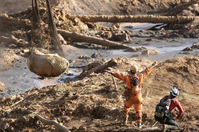 Vaca é resgatada por bombeiros no quinto dia de buscas após o rompimento de barragem da mineradora Vale, em Brumadinho (MG) - 29/01/2019 Vaca é resgatada por bombeiros no quinto dia de buscas após o rompimento de barragem da mineradora Vale, em Brumadinho (MG) - 29/01/2019