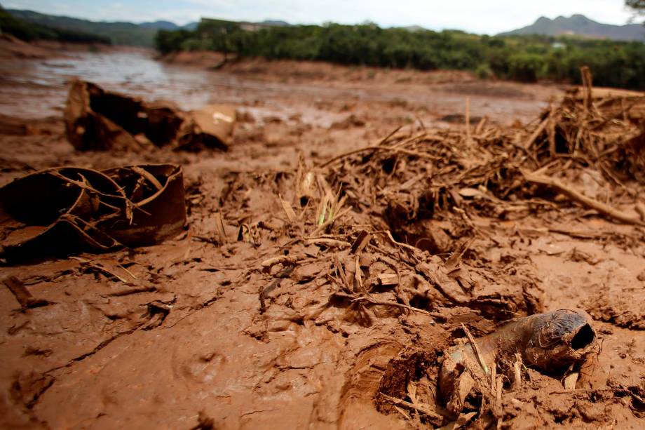 Peixe é visto em meio ao mar de lama após a o rompimento da barragem de rejeitos da mineradora Vale, em Brumadinho (MG) - 27/01/2019