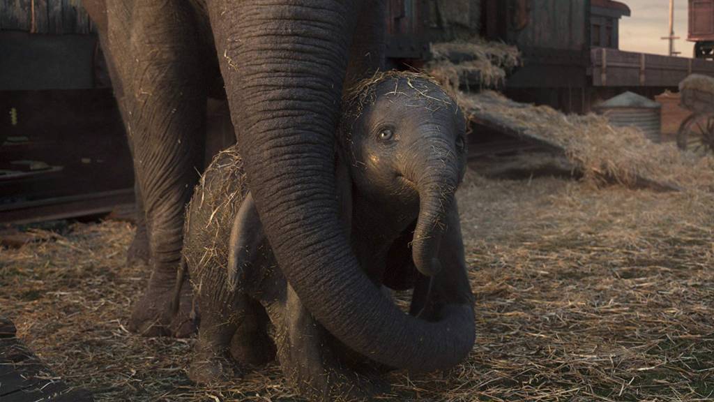 ‘Dumbo’ 'Dumbo'