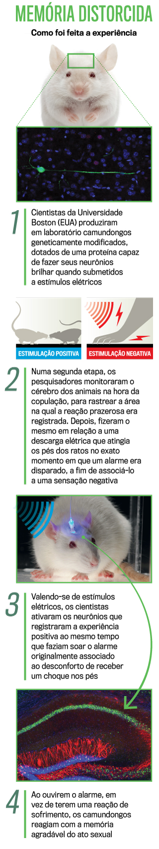 arte-memória-iphone