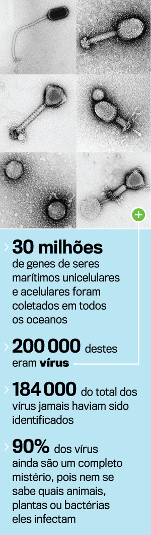 arte-virus arte-virus