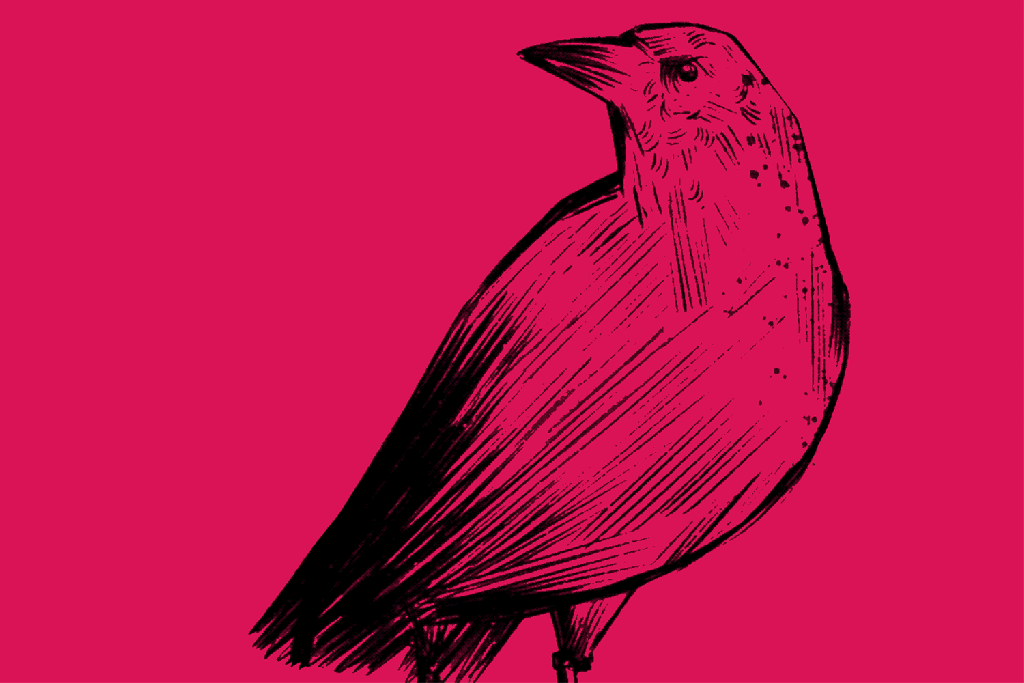 A maldição de Poe
