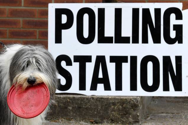 Cão é fotografado do lado de fora de uma estação de voto, onde a primeira-ministra britânica Theresa May votou nas eleições do Parlamento Europeu, em Sonning, Inglaterra Cão é fotografado do lado de fora de uma estação de voto, onde a primeira-ministra britânica Theresa May votou nas eleições do Parlamento Europeu, em Sonning, Inglaterra