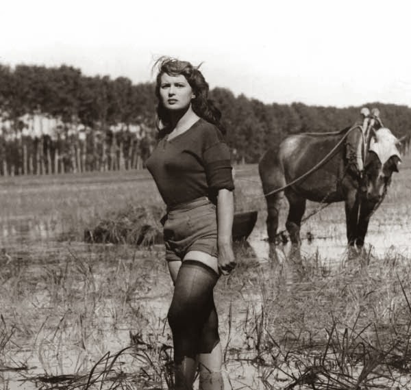 SILVANA MANGANO EM RISO AMARO – WIKIPEDIA SILVANA MANGANO EM RISO AMARO