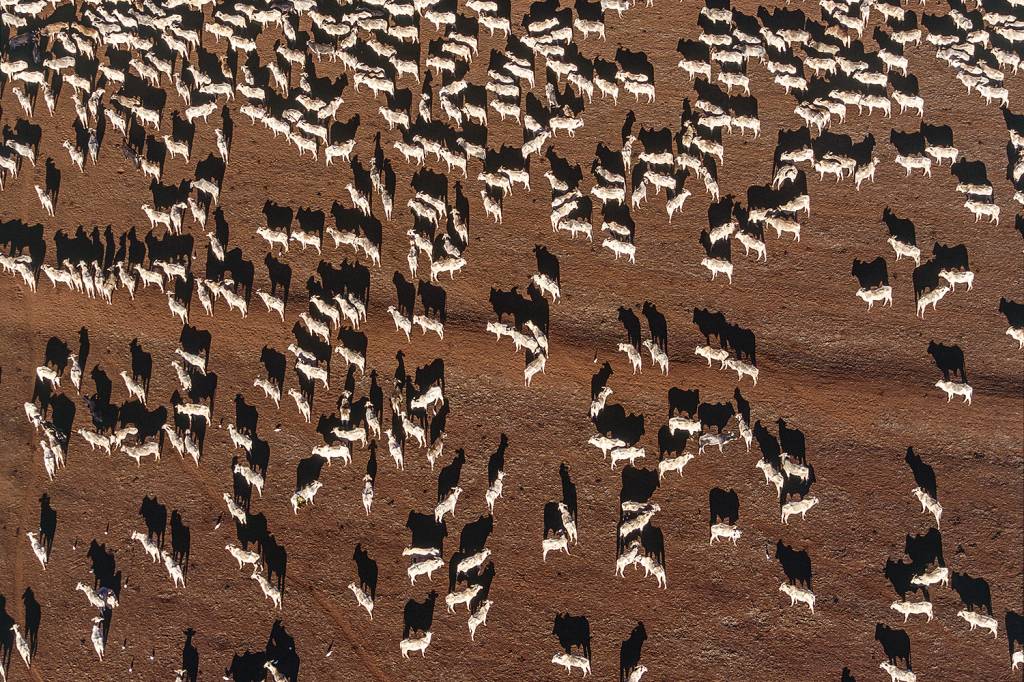 Não comerás como antes