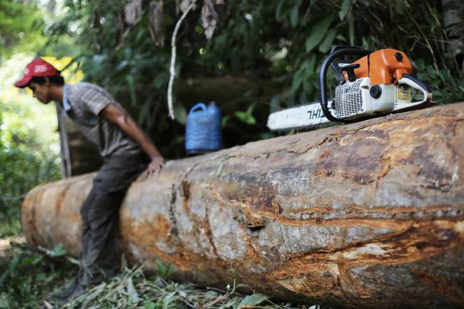 Desmatamento na Amazônia Desmatamento na Amazônia