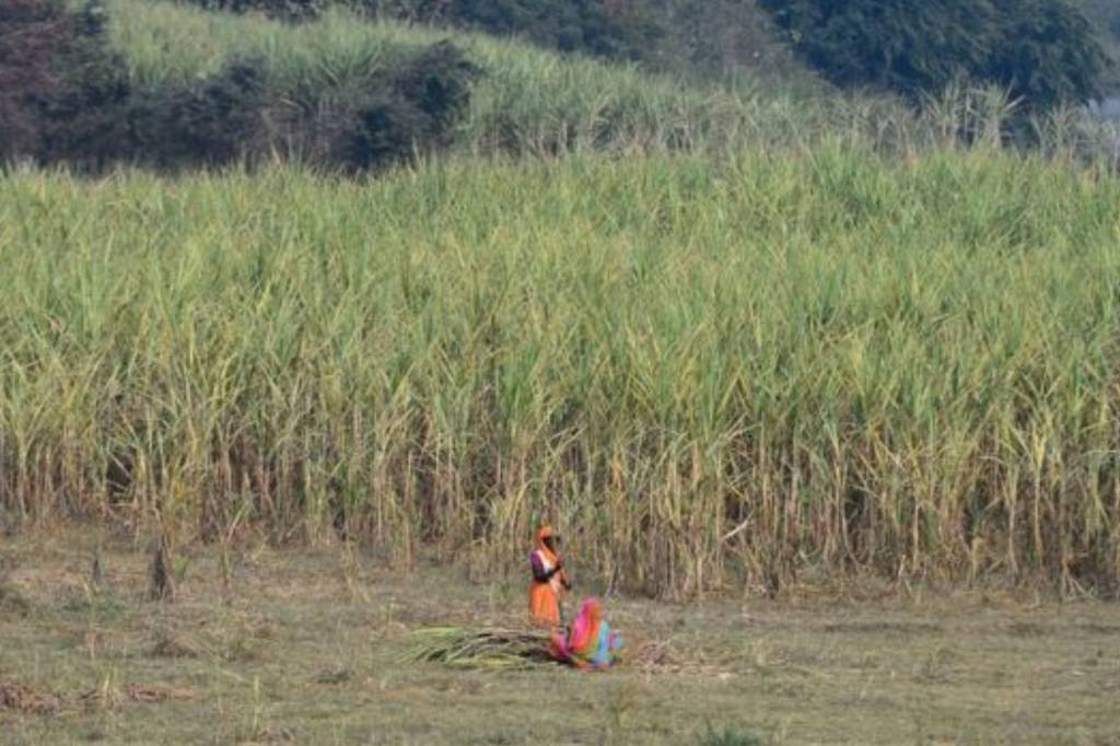 Mulheres na Índia removem o útero para conseguir emprego
