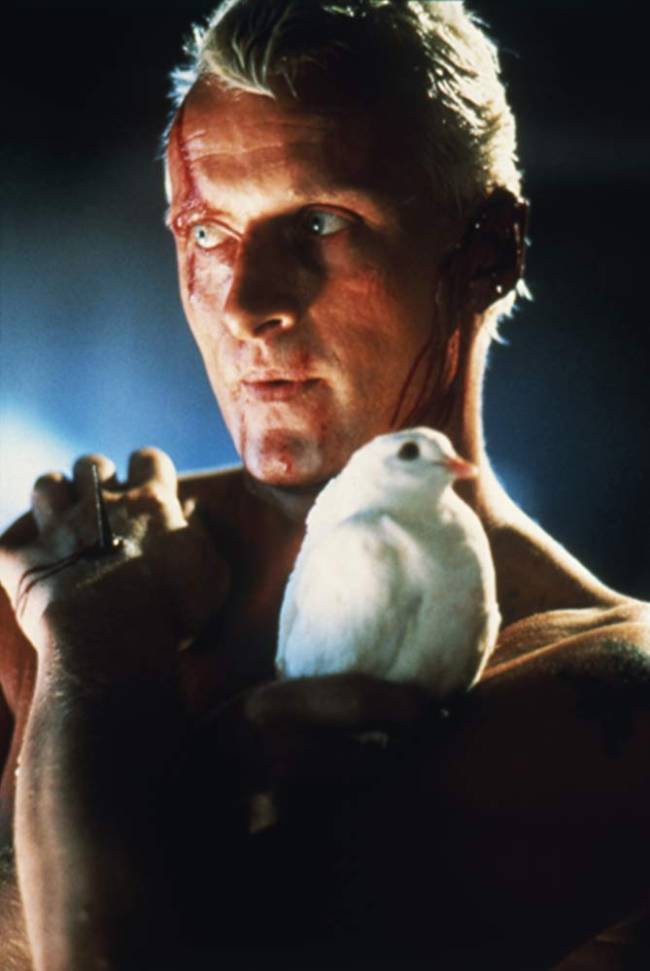O ator Rutger Hauer como Roy Batty em ‘Blade Runner: O Caçador de Androides ‘ O ator Rutger Hauer como Roy Batty em 'Blade Runner: O Caçador de Androides '