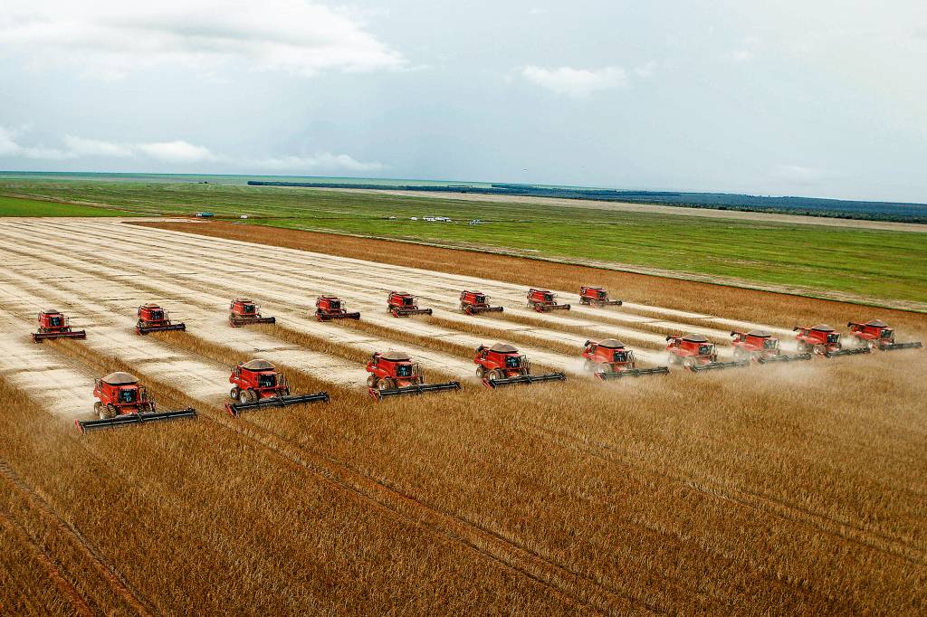 Colheita de Soja no Mato Grosso Colheita de Soja no Mato Grosso