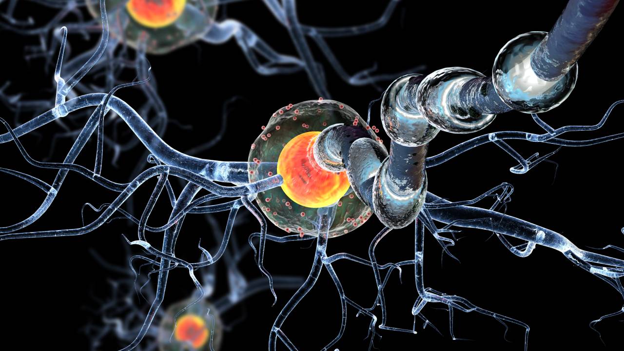 High quality 3d render of nerve cells,isolated on black background, concept for Neurologic Diseases, tumors and brain surgery.