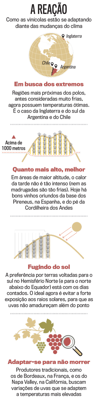 arte-vinhos arte-vinhos