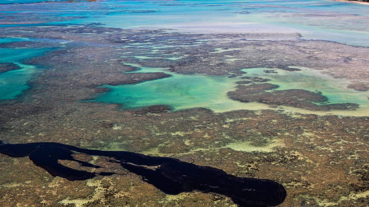 PERIGO EM MARCHA - Óleo avança no mar de Maragogi (AL)