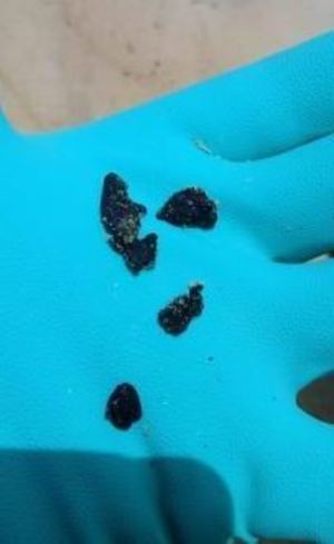 Óleo que atingiu Nordeste é encontrado em praia do litoral norte do Rio