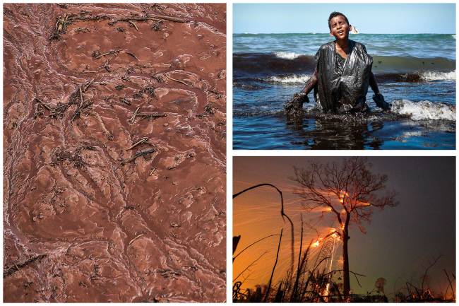 Crise ambiental: um ano desalentador para o Brasil