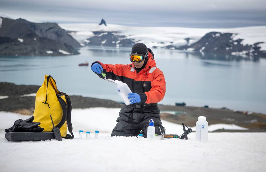 O pesquisador analisa fungos que vivem na neve para encontrar propriedades anticongelantes