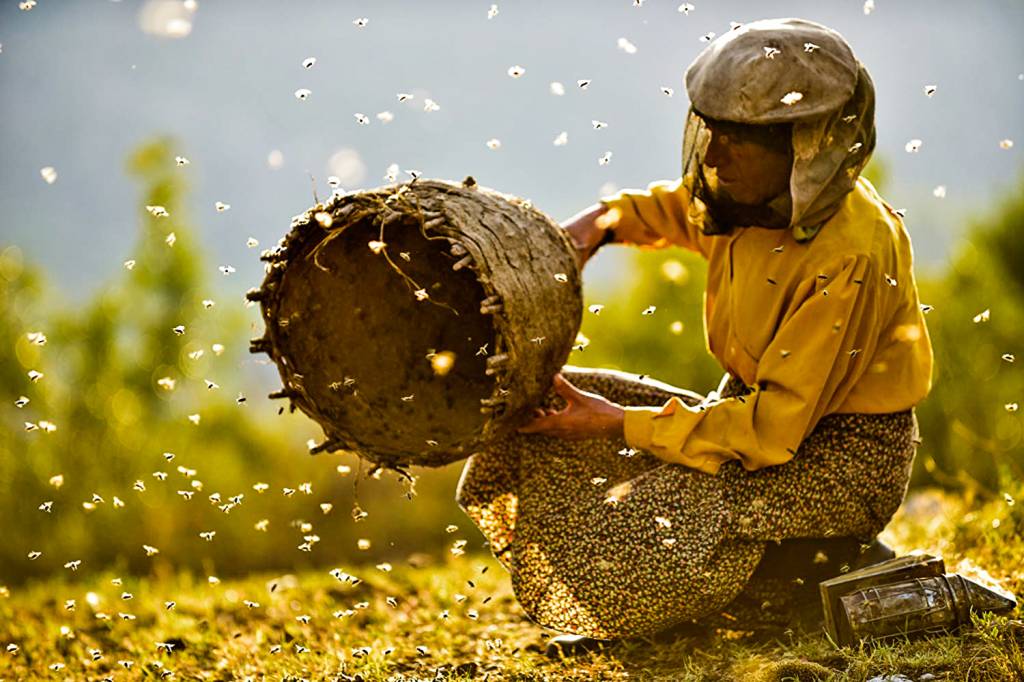 HONEYLAND HONEYLAND