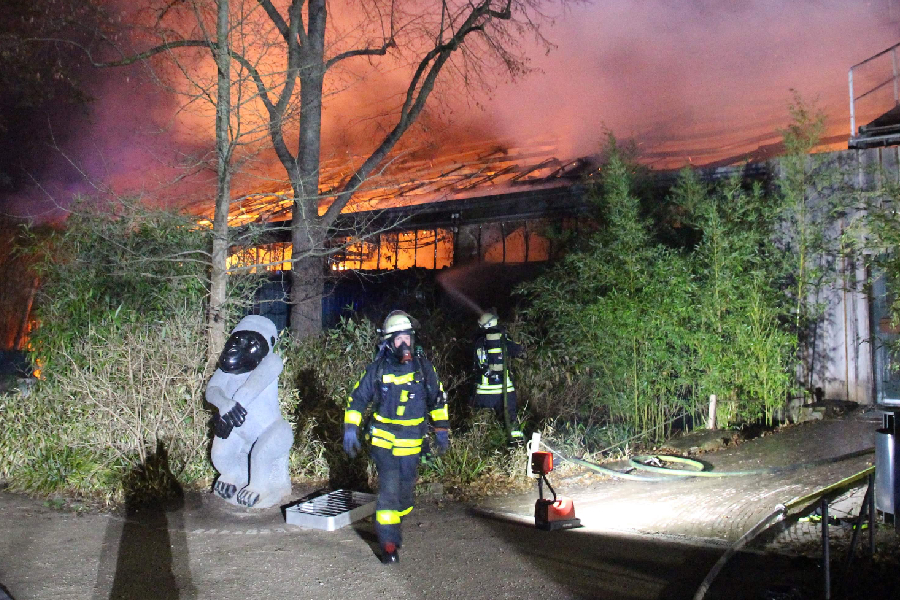 Incêndio mata 30 animais em zoológico da Alemanha