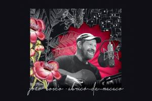 CAPA DISCO – ABRICO DE MACACO – JOAO BOSCO.jpg CAPA DISCO – ABRICO DE MACACO – JOAO BOSCO.jpg
