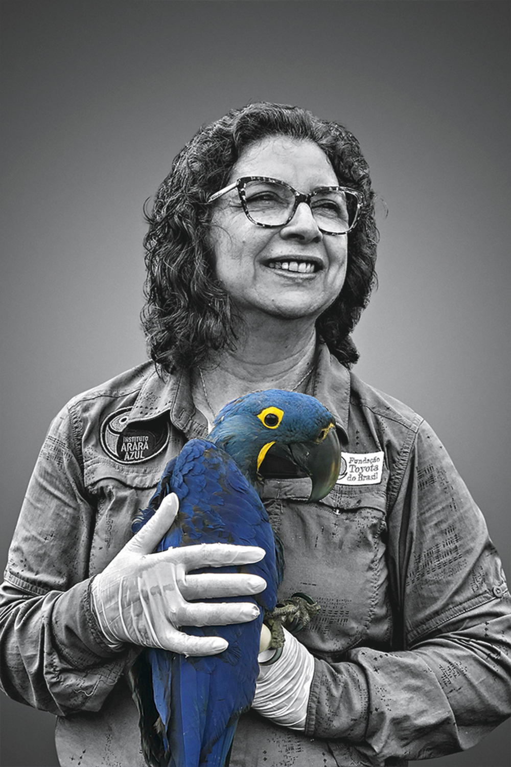 ARARA ARARA