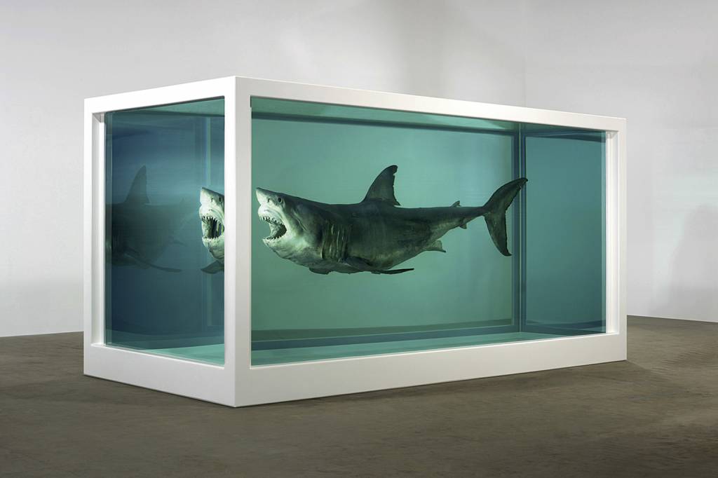 DAMIEN-HIRST-TUBARAO-1.jpg DAMIEN-HIRST-TUBARAO-1.jpg