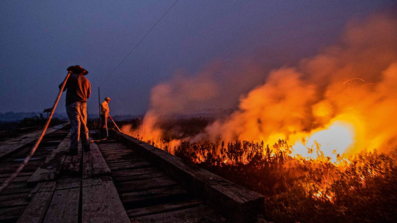PANTANAL - O país emitiu quase 10% a mais de carbono em 2019, e a situação deve piorar neste ano -