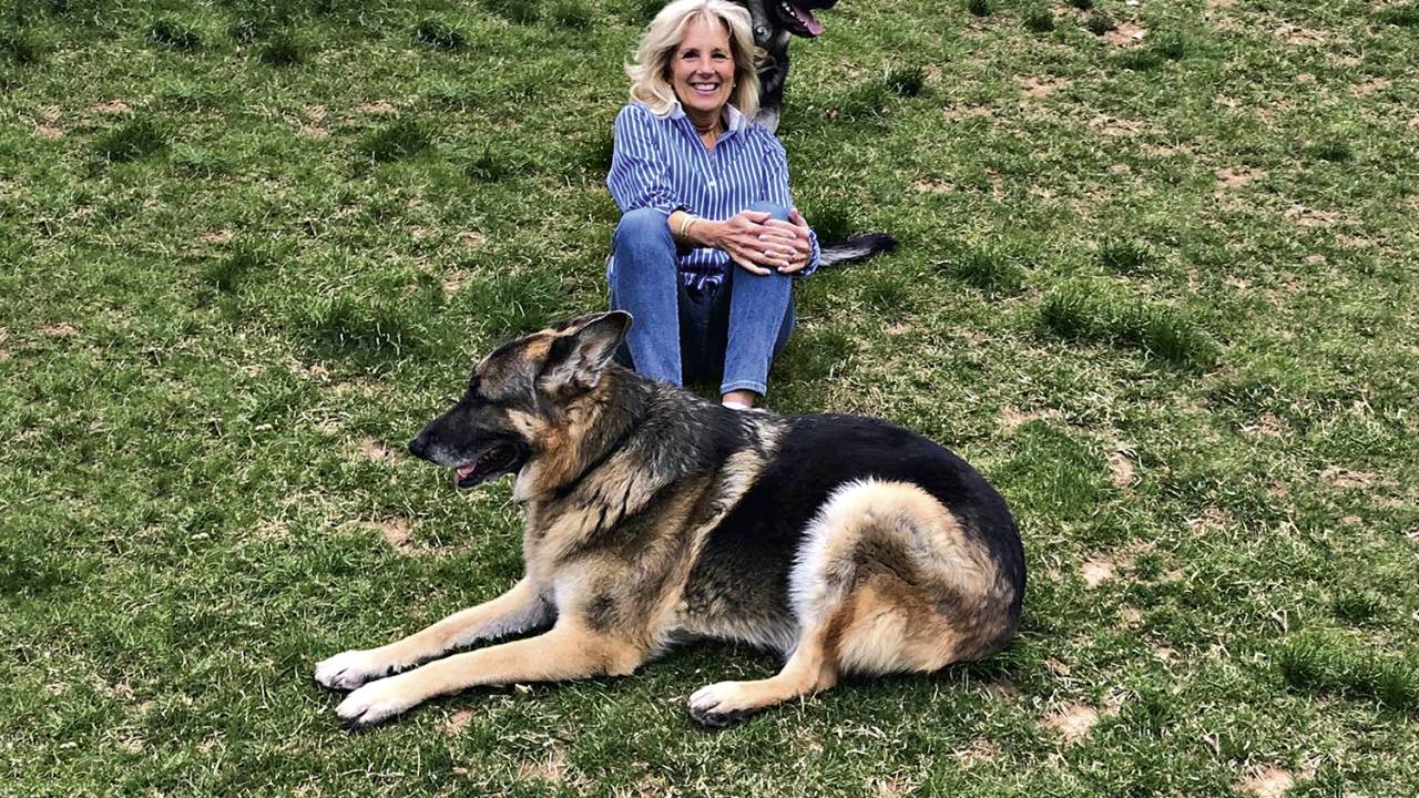 INFLUÊNCIA - Jill com Champ e Major, em foto tirada por Biden: décadas de experiência na política de Washington -