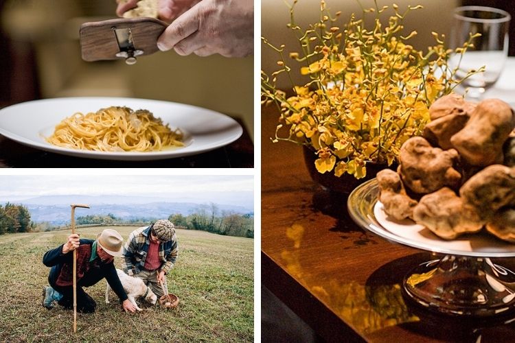 PLENITUDE DO PALADAR - O diamante da culinária italiana, usado em pratos como o tagliolini al burro (790 reais no Fasano, em São Paulo): caça feita por cachorros treinados desde os seis meses para identificar o raríssimo cogumelo -