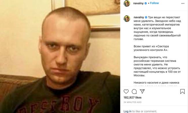 navalny navalny