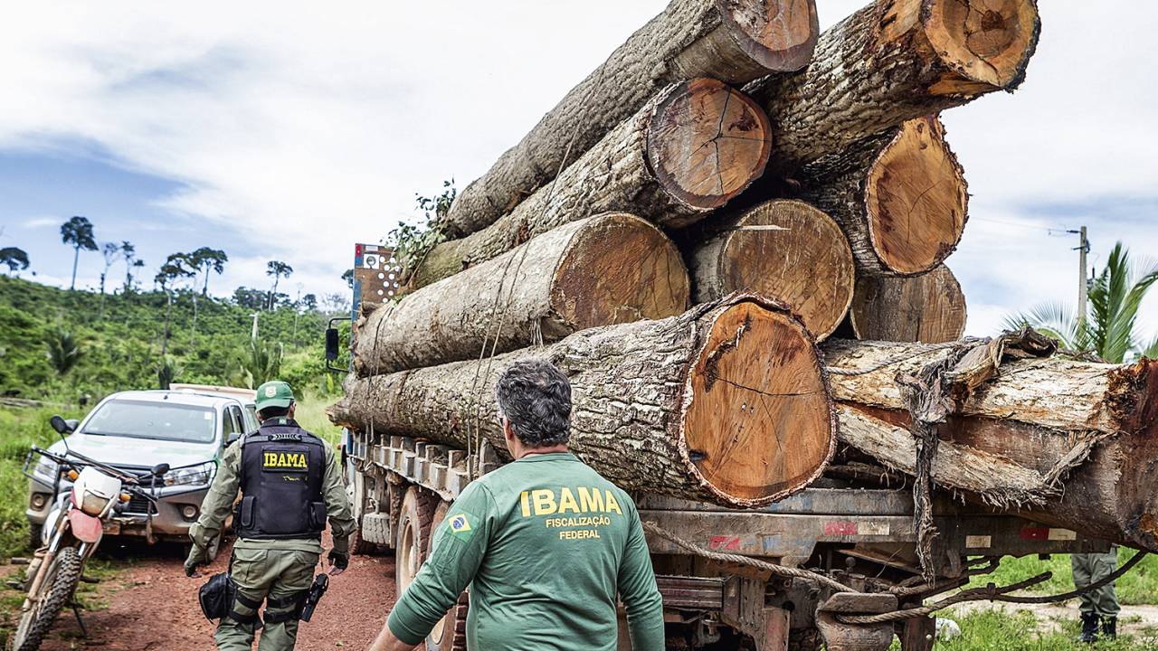 CRIME - Extração de madeira ilegal na Amazônia: problema recorrente -
