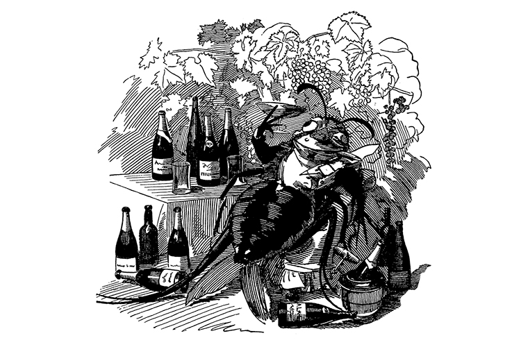 British London satire caricatures comics cartoon illustrations: Phylloxera CHARGE DE 1880 - Filoxera: a terrível praga arruinou as vinhas -