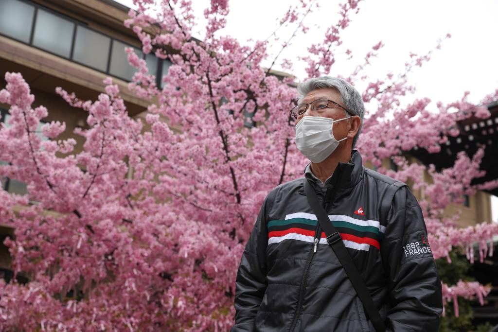 Por que as cerejeiras do Japão estão florescendo cada vez mais cedo?