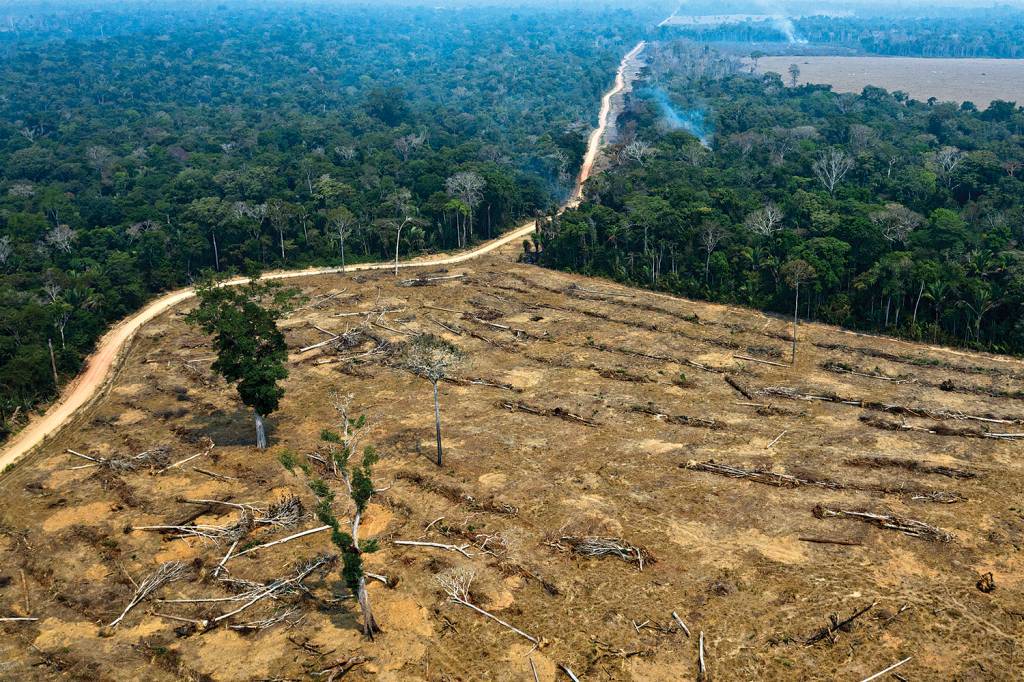 BRAZIL-FIRE-AMAZON FERIDA - Área desmatada na Amazônia: o mundo exige que o governo resolva o problema já -