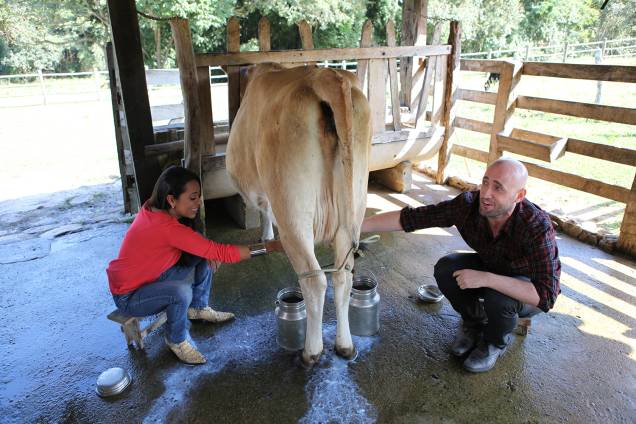 Samantha Schmutz e Paulo Gustavo tiram leite de vaca na temporada de inverno do "Estrelas" - Samantha Schmutz e Paulo Gustavo tiram leite de vaca na temporada de inverno do "Estrelas" -