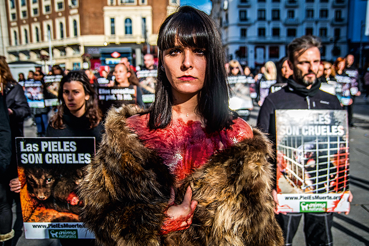 An activist of pro-animal rights group ‘Anima Naturalis” ATIVISMO - Em Madri: protestos contra grifes que usam peles são ruidosos -