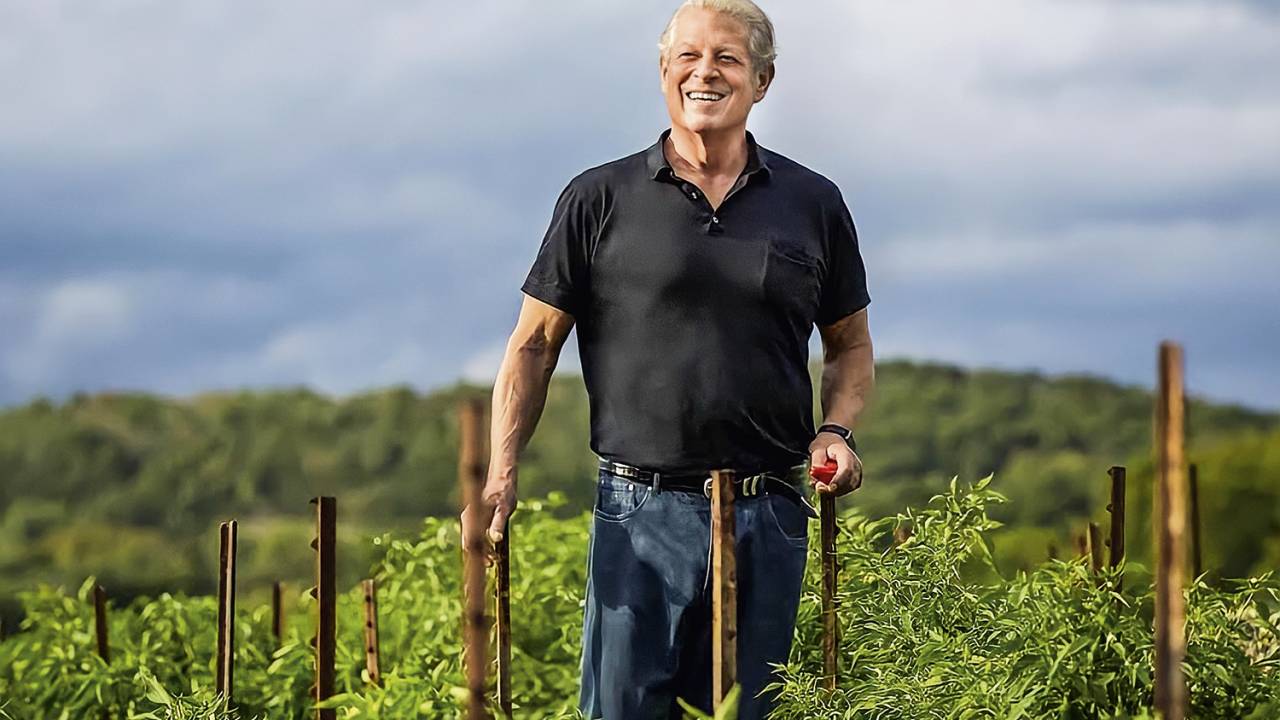 AL GORE