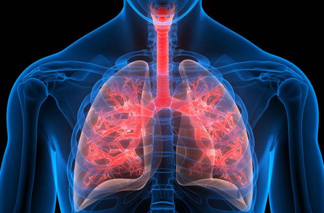 Anticoagulante popular demonstra potencial para tratar inflamação pulmonar