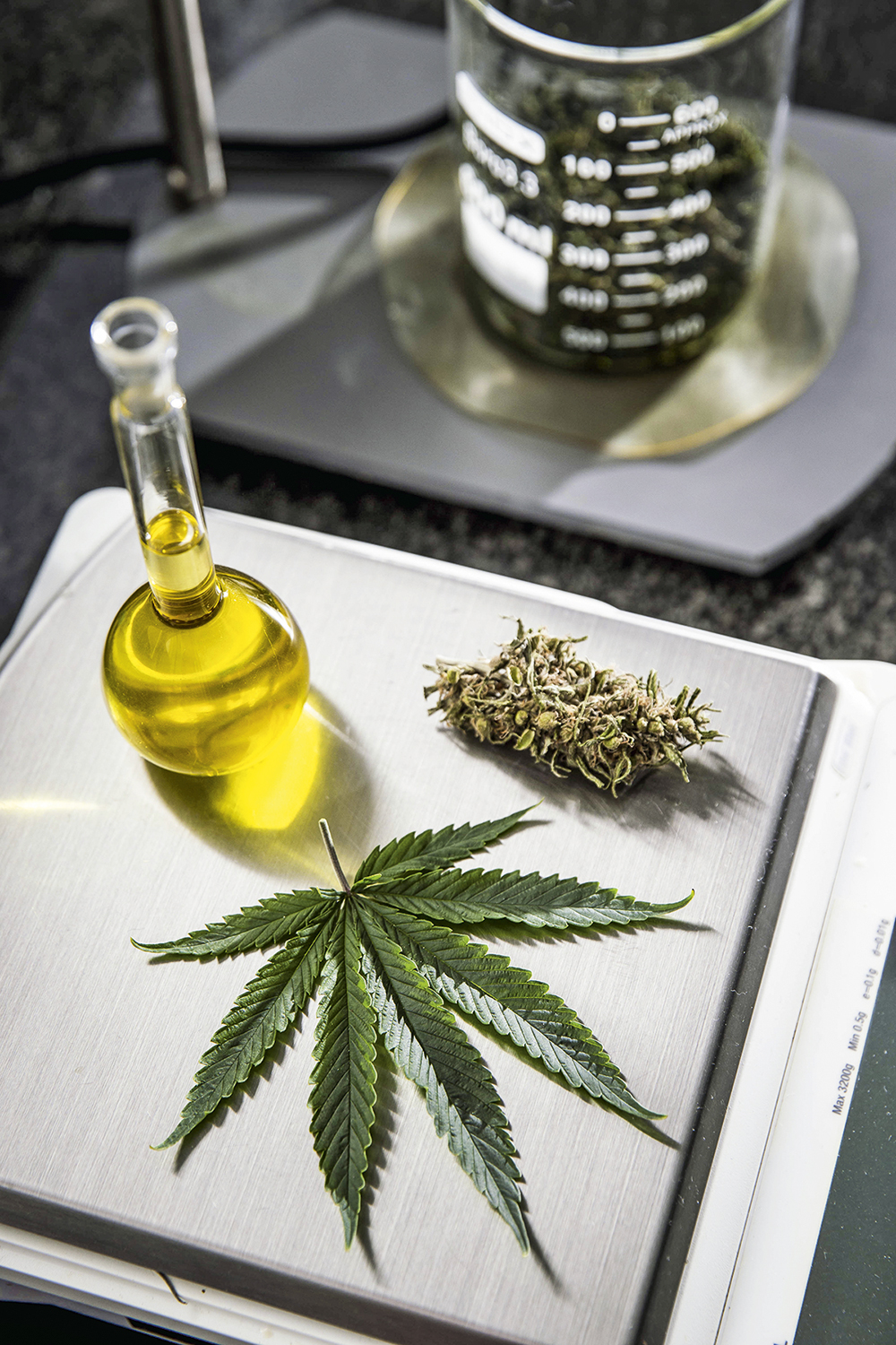 OLEO-CANABIDIOL—ABRACE-ESPERANÇA-15000044-high.jpeg_1 REMÉDIO POTENTE - Cannabis em pesquisa: uso contra dor e insônia -