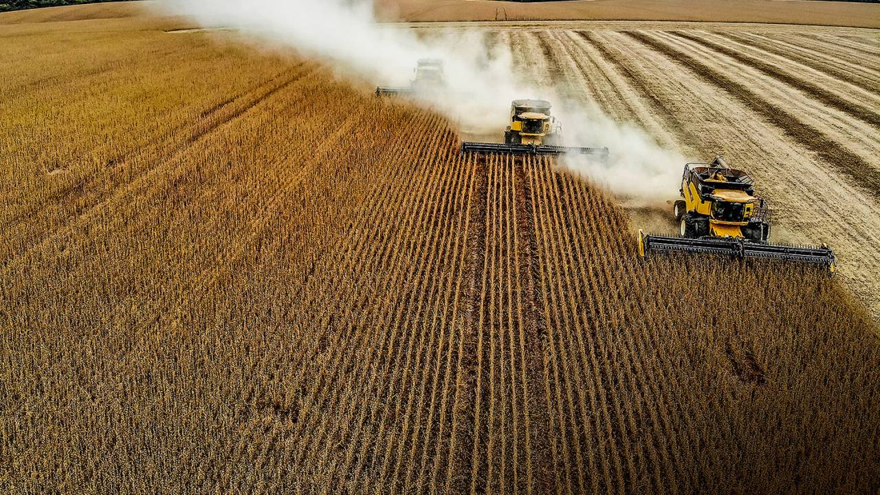 MAIS CRÉDITO -
Fazenda de soja: produtos financeiros também favorecem agricultores -