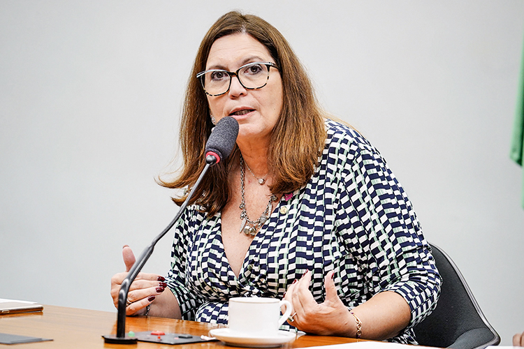 Após PDL contra decreto de Lula, bolsonaristas querem derrubar ato do CNJ