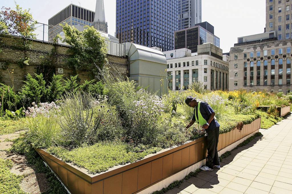 GettyImages-71656099.jpg CONCRETO E NATUREZA - As grandes cidades vêm investindo pesado na multiplicação de espaços verdes. Em Chicago, os jardins plantados no alto do prédio de onze andares da prefeitura amenizam o calor e reduzem o consumo de ar-condicionado -