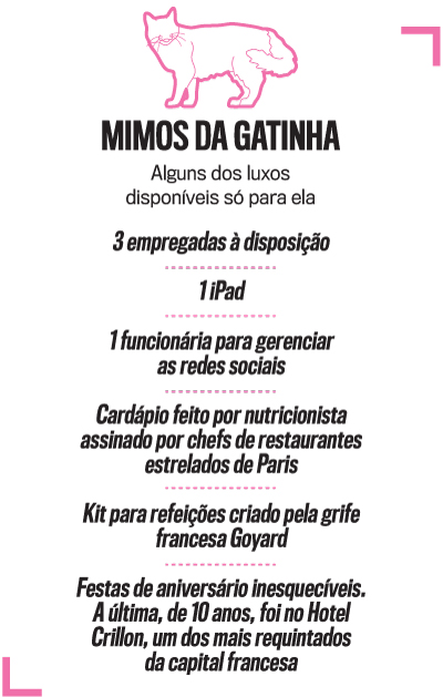 arte gata