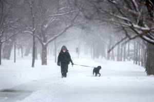 Powerful Winter Storm Hits Chicago Area